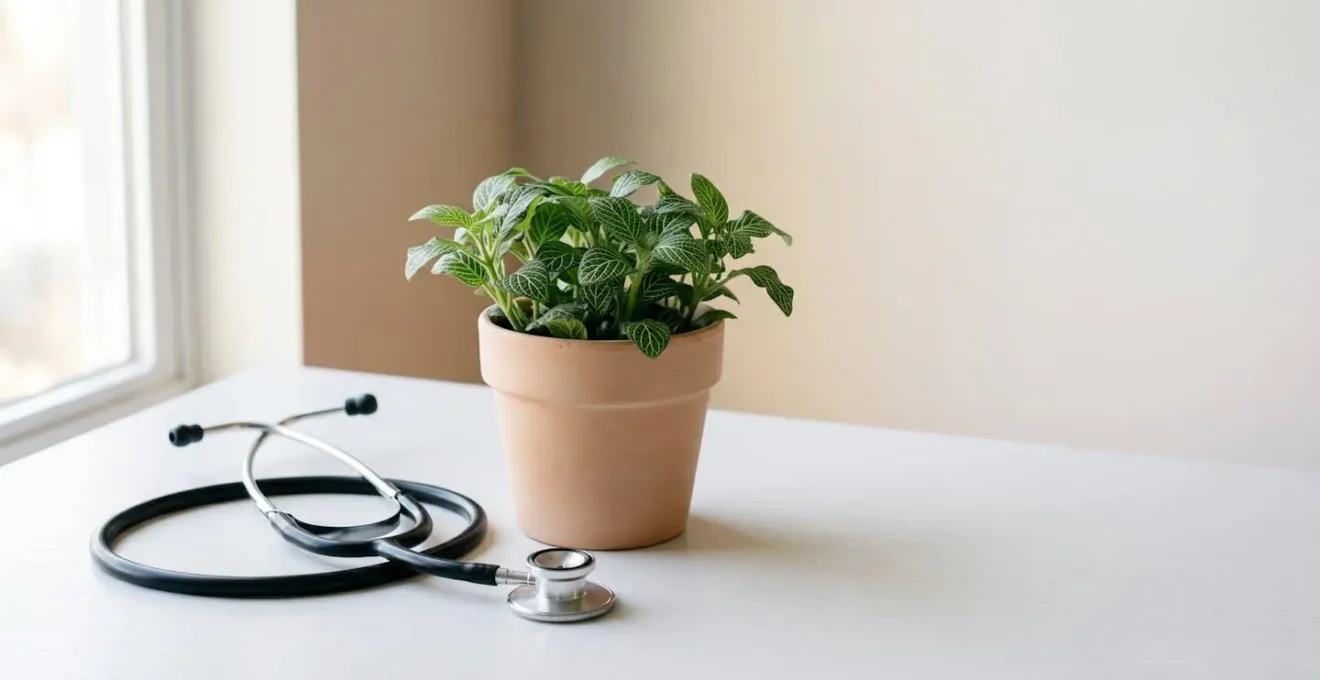 Concept de prevention sante et prophylaxie pour les mutuelles françaises